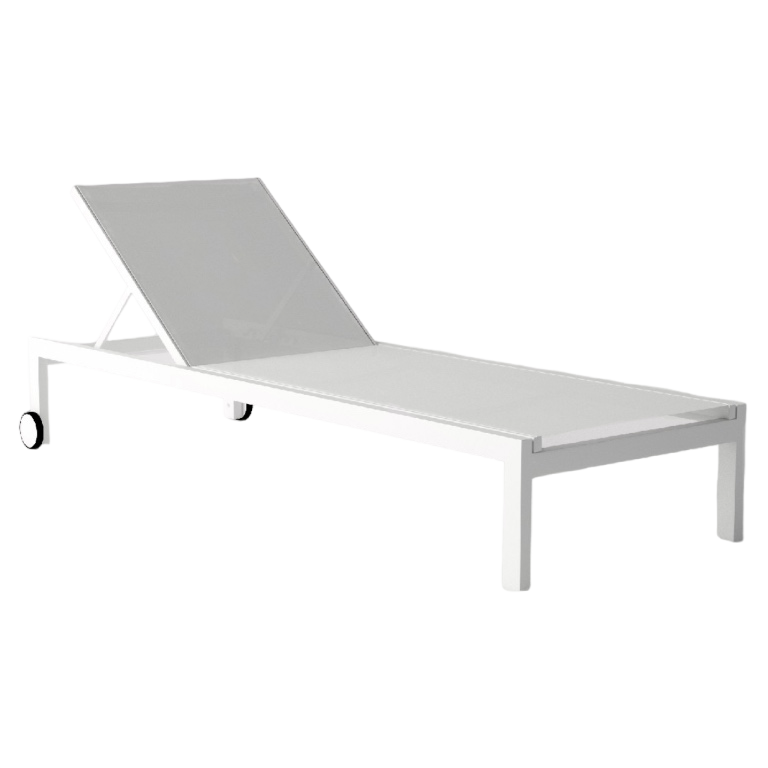 متسكع الشمس 